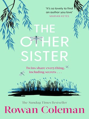 cover image of The Other Sister
